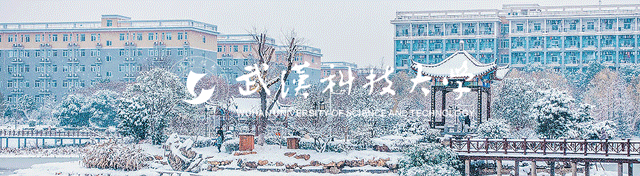 武汉科技大学