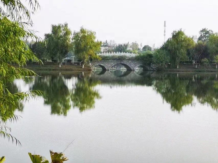 校园风光