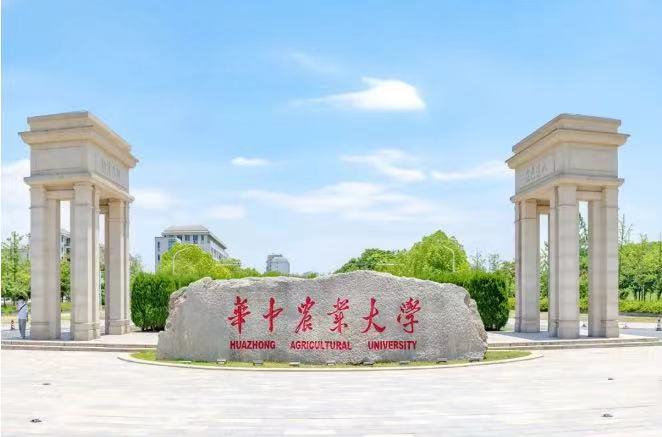 校园风光